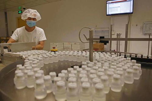 GE醫療堅定扎根中國信心，以更大規模參展第五屆進博會